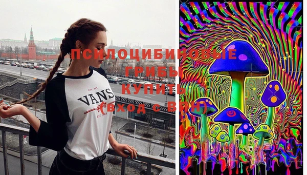 стафф Алексеевка