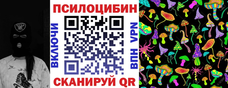 хочу наркоту  Ставрополь  Псилоцибиновые грибы Magic Shrooms 